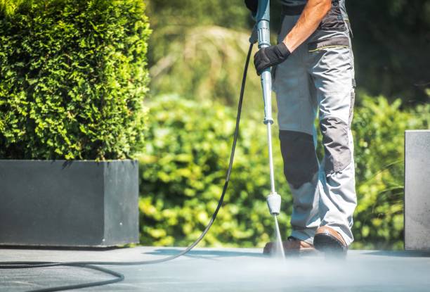 Best House Exterior Washing  in Carrollton, KY