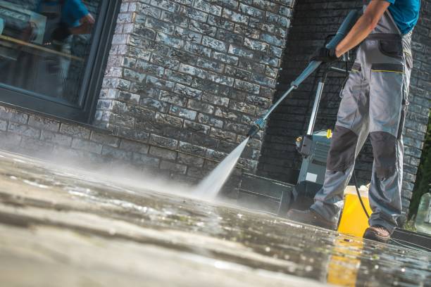 Best Building Exterior Washing  in Carrollton, KY