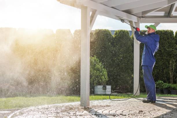 Best Driveway Pressure Washing  in Carrollton, KY